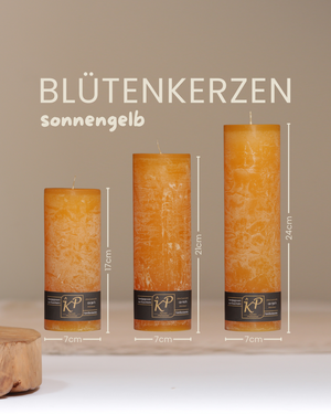 Blütenkerzen in sonnengelb in drei Größen mit Angaben zu Höhe und Durchmesser.